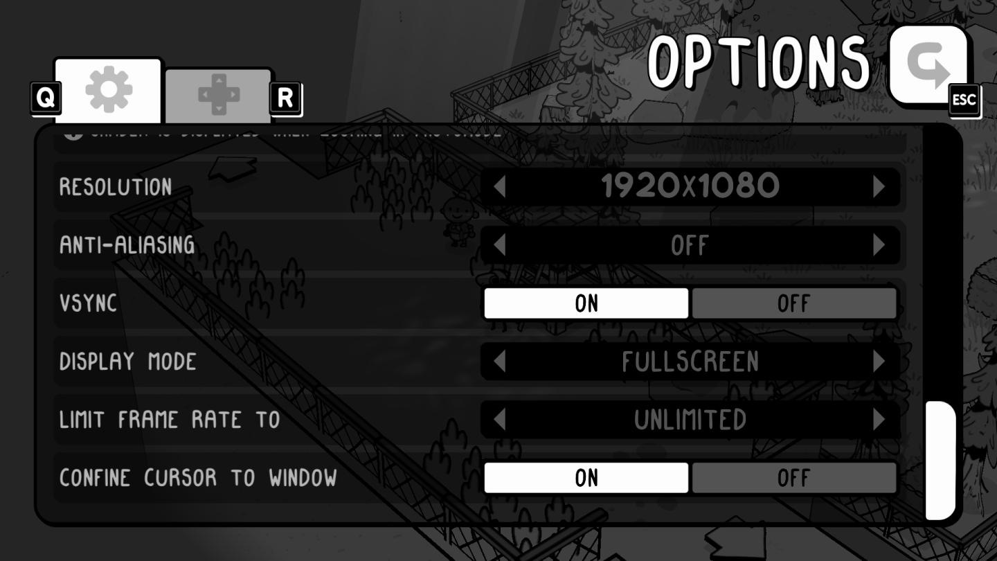 video settings2 from TOEM UI screenshot (English)